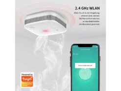 VisorTech Feuermelder:10er-Set WLAN-Design-Rauchmelder Mit Weltweiter App-Benachrichtigung -Shop Für Smart-Home-Produkte zx3150 5 3