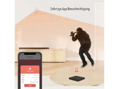 VisorTech Alarmzentrale:WLAN-Alarmanlage Mit Funk-Anbindung, App, Sprachsteuerung -Shop Für Smart-Home-Produkte zx5314 10