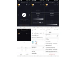 Lunartec LED-Lichterkette Stecker:2er SetLED Wifi Büschel Lichterkette,600warmweiße LEDs,Tuya,dursichtig -Shop Für Smart-Home-Produkte zx8275 11